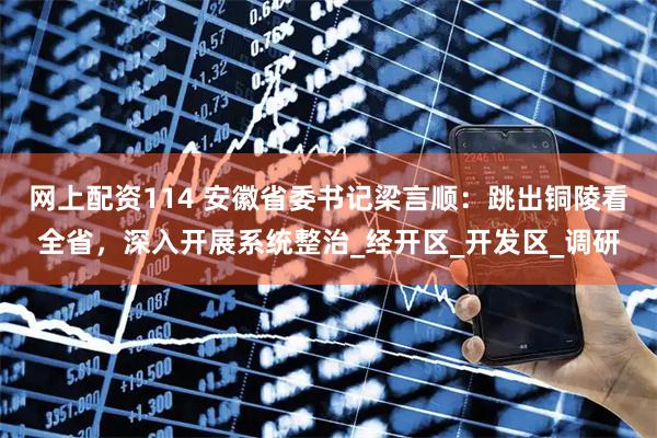 网上配资114 安徽省委书记梁言顺：跳出铜陵看全省，深入开展系统整治_经开区_开发区_调研